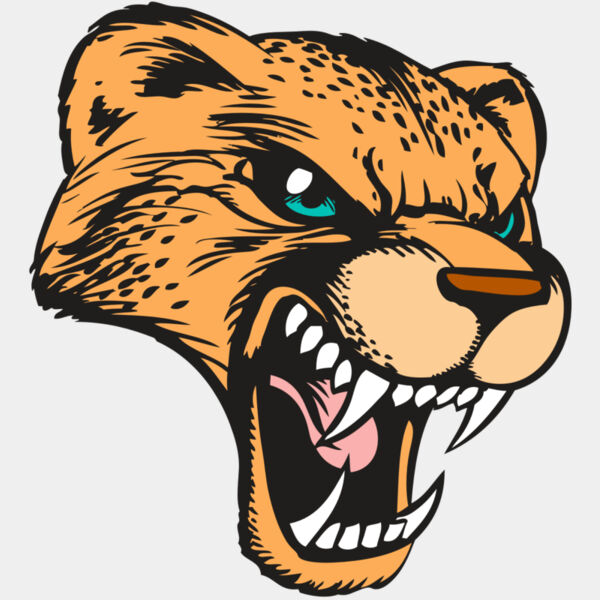 BAW CHEETAH 19 RC Thumbnail