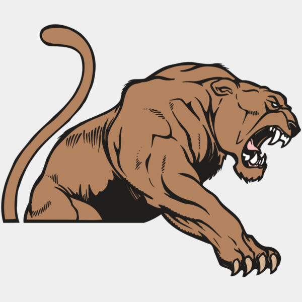 AR COUGAR 55 RC Thumbnail