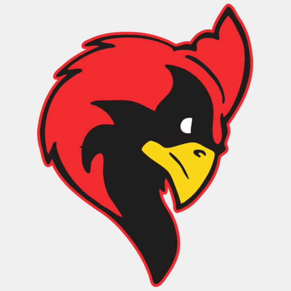 AR CARDINAL 24 RC Thumbnail