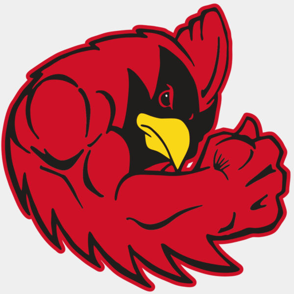 AR CARDINAL 29 RC Thumbnail