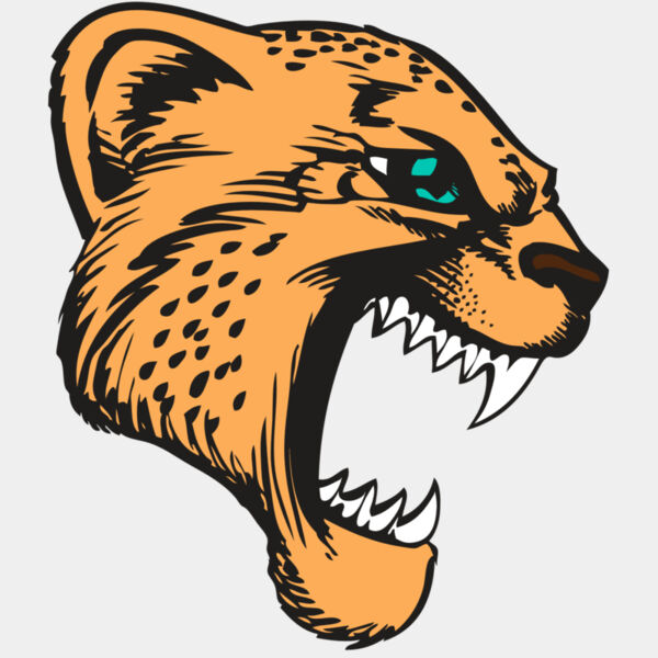 BAW CHEETAH 11 RC Thumbnail