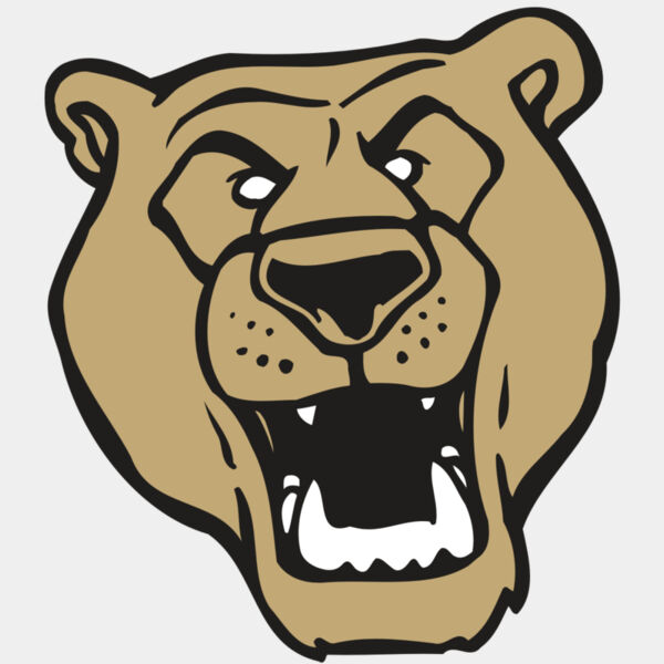 AR BEAR 13 RC Thumbnail