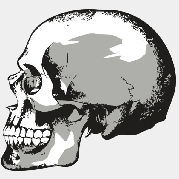 AR24 SKULL 02 RQC Thumbnail