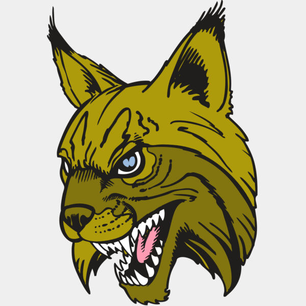 BAW BOBCAT 05 RC Thumbnail