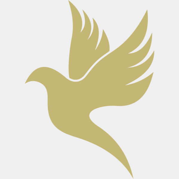 Dove 2 Thumbnail
