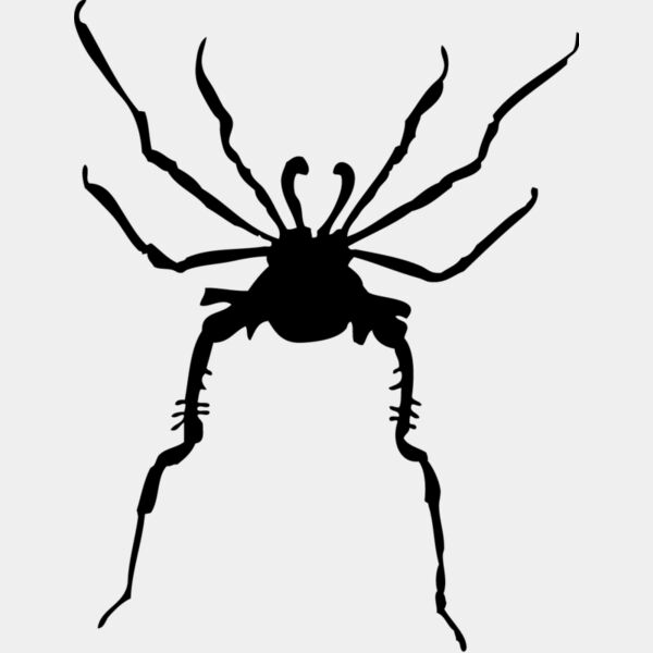 Spider Silhouette 11 Thumbnail