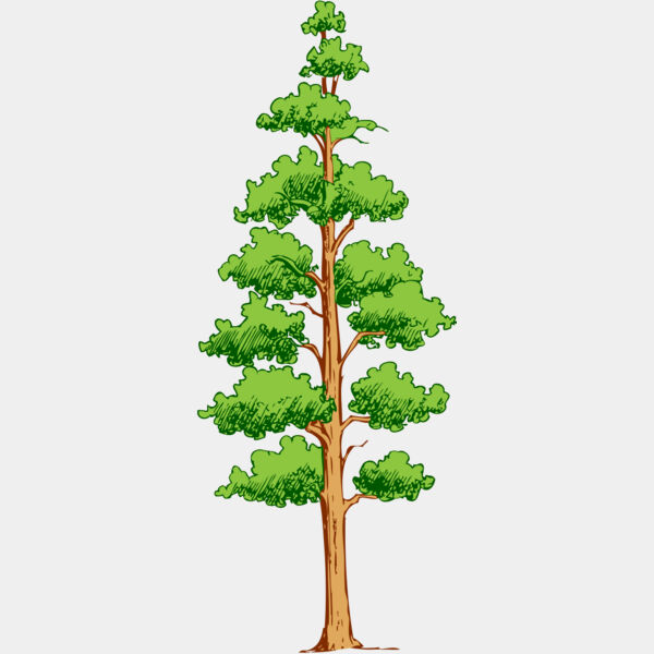 Tree 38 Thumbnail