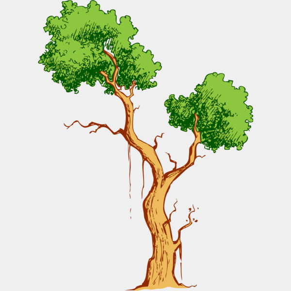 Tree 43 Thumbnail