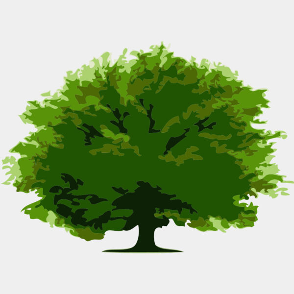 Tree 16 Thumbnail