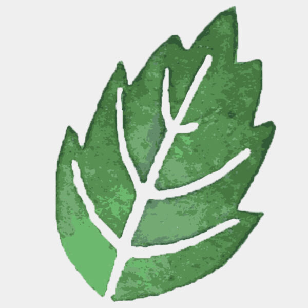 Watercolor Leaf 2 Thumbnail