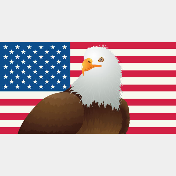USA America Flag Bald Eagle 2 Thumbnail