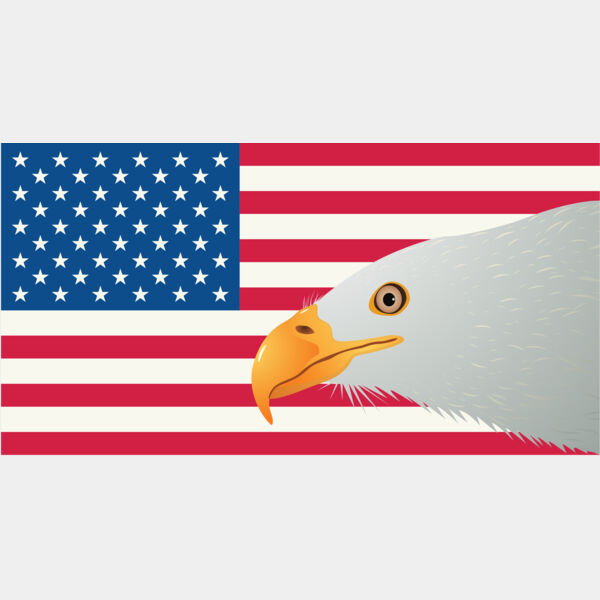 USA America Flag Bald Eagle 1 Thumbnail