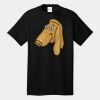 Tall Core Cotton Tee Thumbnail