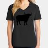 Ladies Core Cotton V-Neck Tee Thumbnail